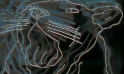 Adrian Belew - Big Electric Cat  (1982)