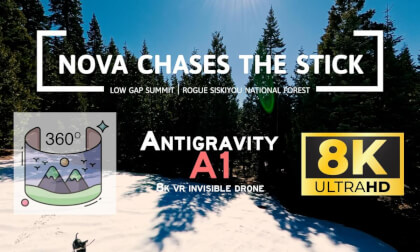 Puppy play at the Low Pass | Siskiyou Wilderness | Antigravity A1