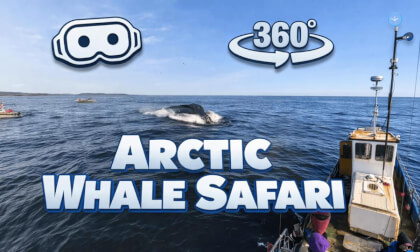 360° Arctic Whale Safari – Sailing the Barents Sea Above the Polar Circle (Teriberka)