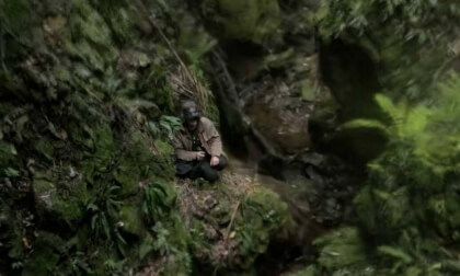GSplats_6_bushStream1