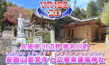[VR180 3D] Unkaku-ji Temple and Hirone Susanoo Shrine, Inagawa Town, Hyogo Prefecture, April 12, 2026
