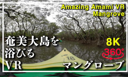 奄美大島を浴びるVR マングローブ編 VR Video 奄美大島を浴びるVR マングローブ編 VR