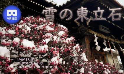 Higashi Tateishi in the Snow