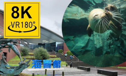 VR 180° 8K 3D aquarium kaikyoukan（海響館）