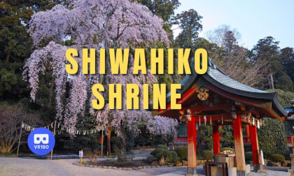 A Quiet Walk Through Shiwahiko Shrine | Shiogama Shrine VR180 Japan