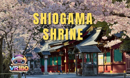 Shiogama Shrine Japan VR180 8K Immersive Sakura Experience