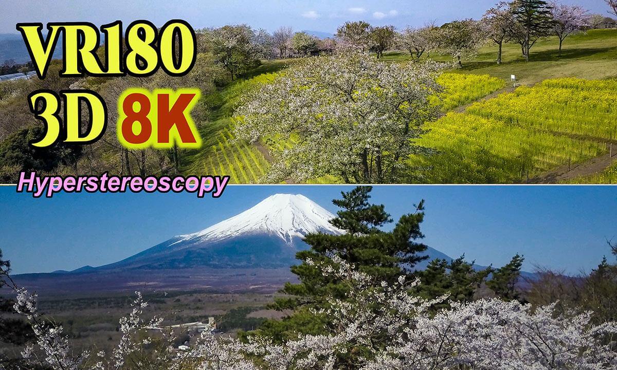 Aerial Hyperstereoscopic 3D Video of cherry blossom viewing spots in Central Japan Region