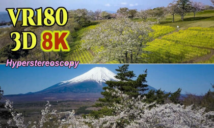 Aerial Hyperstereoscopic 3D Video of cherry blossom viewing spots in Central Japan Region