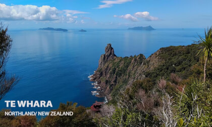 Te Whara - Bream Head Scenic Reserve, Northland/ New Zealand