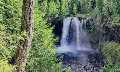 Hidden Forest Falls 2K
