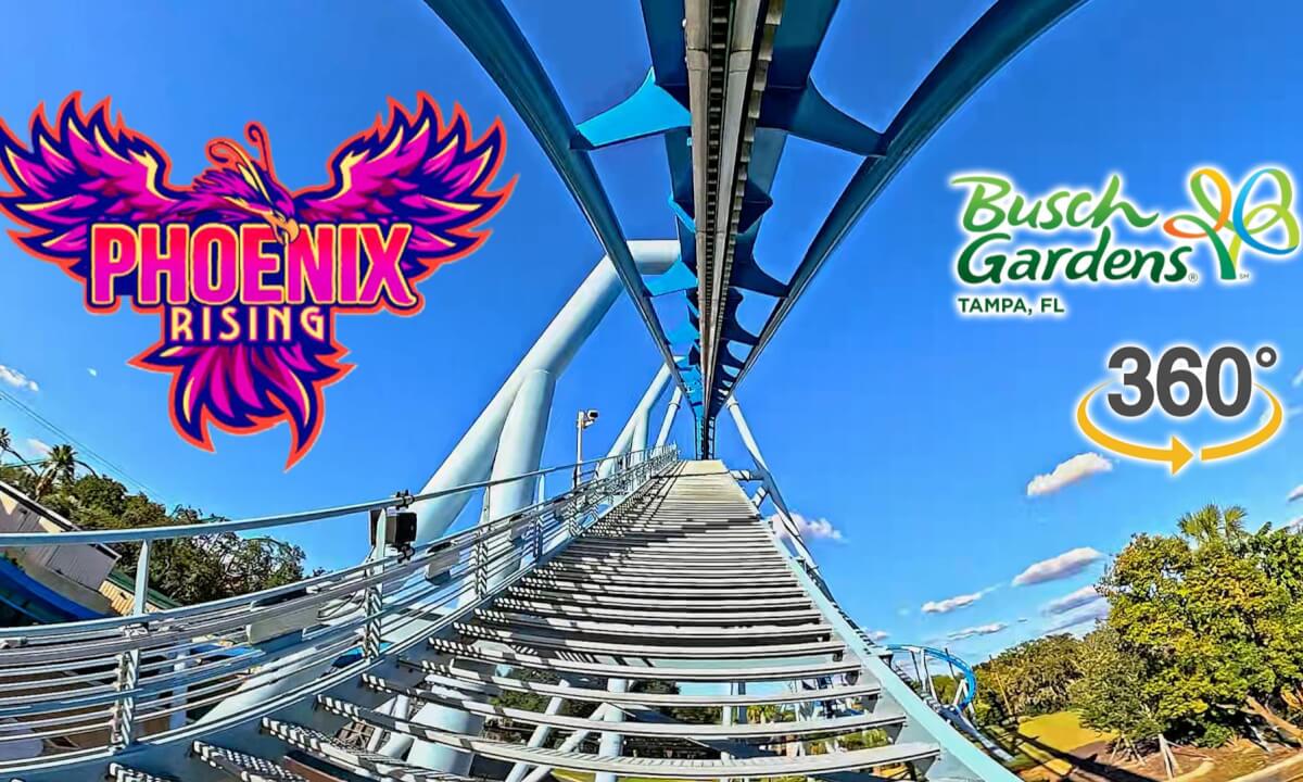 VR 360 Phoenix Rising Roller Coaster On Ride Front Seat POV Busch Gardens Tampa 2025 10 16