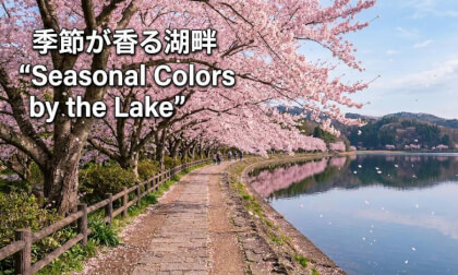Walking at Haji Dam: Experience the Scenic Beauty of Japan