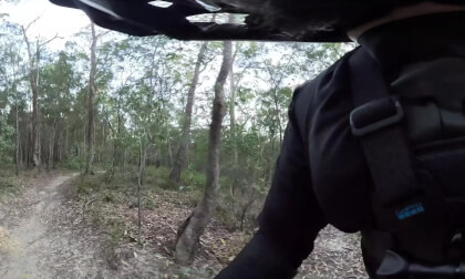 [8K 360] [Chest cam] Beginner MTB ride - Casuarina Grove - Nerang National Park | Gold Coast Bike Rides