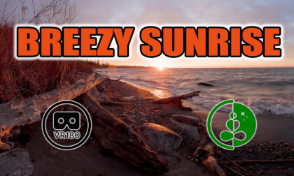 Breezy Sunrise | VR180 Relaxation Experience