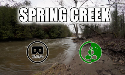 Spring Creek | VR180 Relaxation Experience