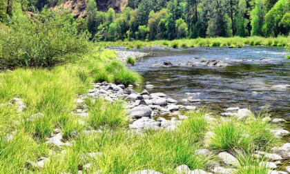 Crystal River Sanctuary 4K