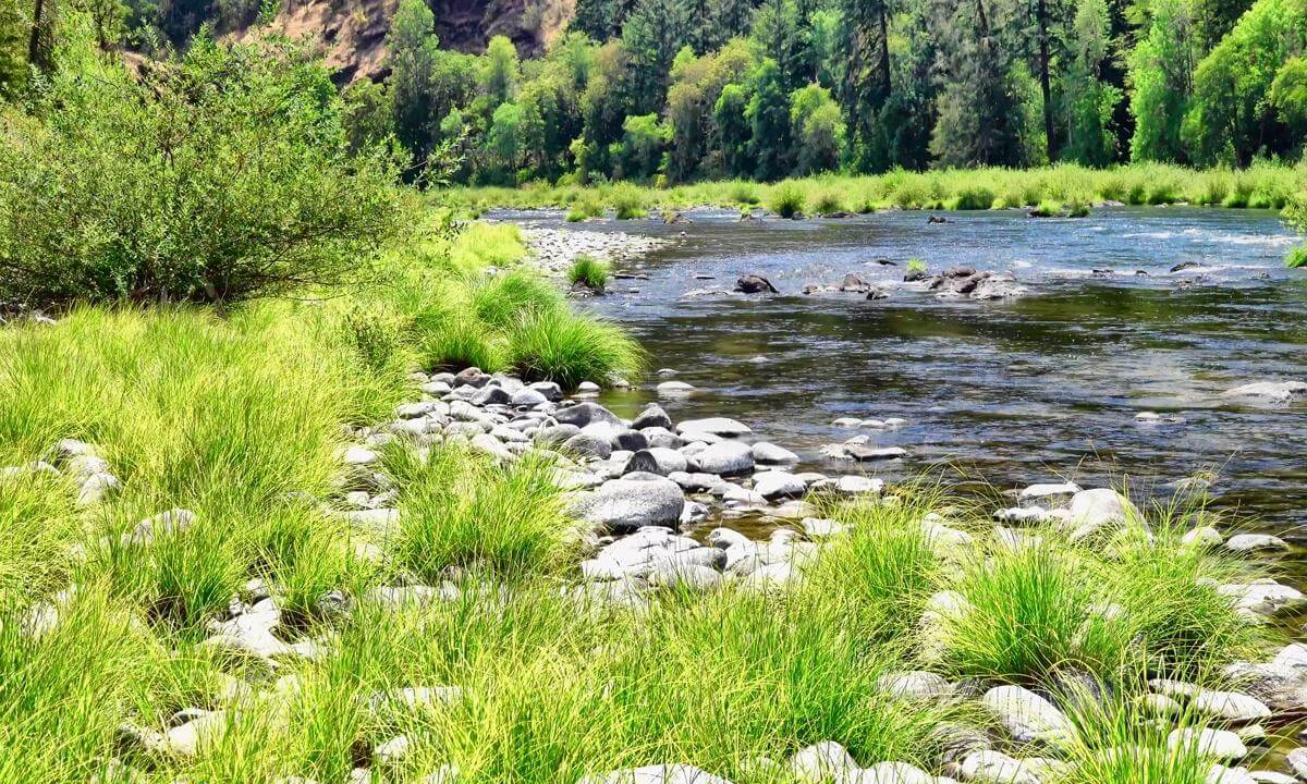 Crystal River Sanctuary 4K
