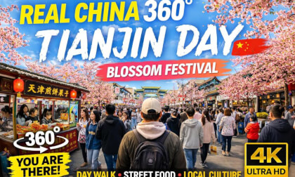 360° Day Walk Tianjin Blossom Festival 🇨🇳 | Street Food, Culture & Crowd (4K VR)