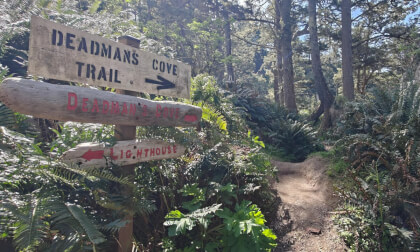 The trail to Dead Man's Cove at Cape Disappointment