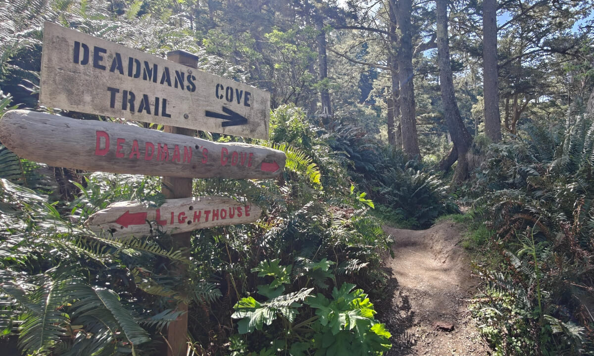 The trail to Dead Man's Cove at Cape Disappointment