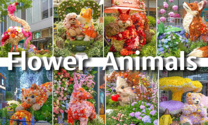 Go on a date with flowers and little animals.
