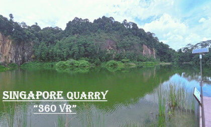 Singapore Quarry 360 Walk 🇸🇬 | Dairy Farm Nature Park VR Walking Tour (8K)