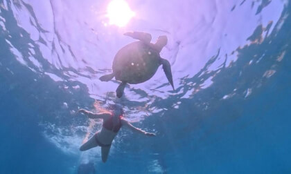360 Swimming with Turtle off Koh Tao, Thailand