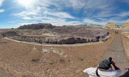 Petrified Forest 360