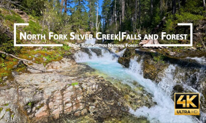 North Fork Silver Creek Oregon | 20 Minutes of Immersive Nature Sounds