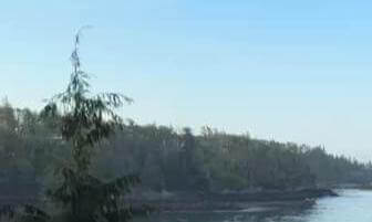 VID-20260422-WA0011