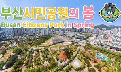 Busan Citizens Park in Spring 부산시민공원의 봄