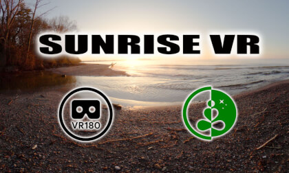 Sunrise VR | 8K VR180 | Lakeside Nature Experience for Relaxation & Meditation