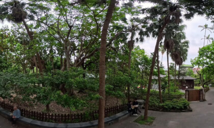 Taipei Botanical Garden | Donations are welcome.