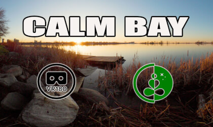 Calm Bay | Sunrise at the Water's Edge | VR180 Nature Relaxation