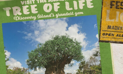 Disney In VR : 5-min Relax at Tree of Life