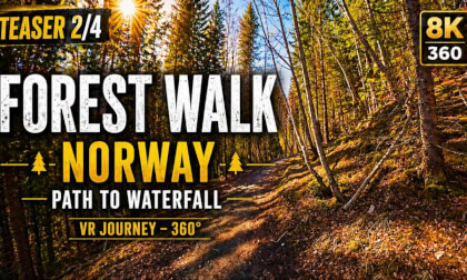Spring Forest Walk in Norway 🌲 | Teaser 2/4 | Path to Waterfall (8K 360 VR)