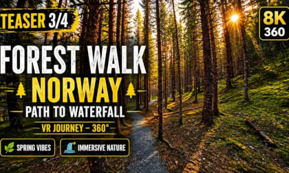 Spring Forest Walk in Norway 🌲 | Teaser 3/4 | Path to Waterfall (8K 360 VR)