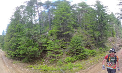 Mechi chal trail Cepelare 7,6km.