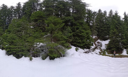 Mechi Chal Trail Chepelare 15km.