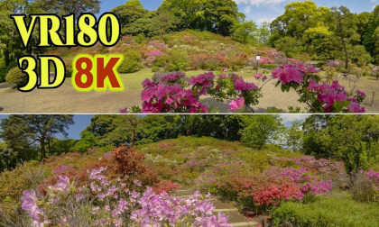 Rikugi-en , Japanese gardens famous for their azalea blossoms in Tokyo , JAPAN
