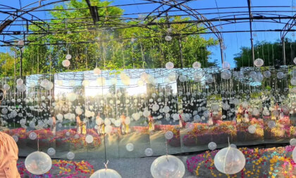 Thailand Nasatta light festival