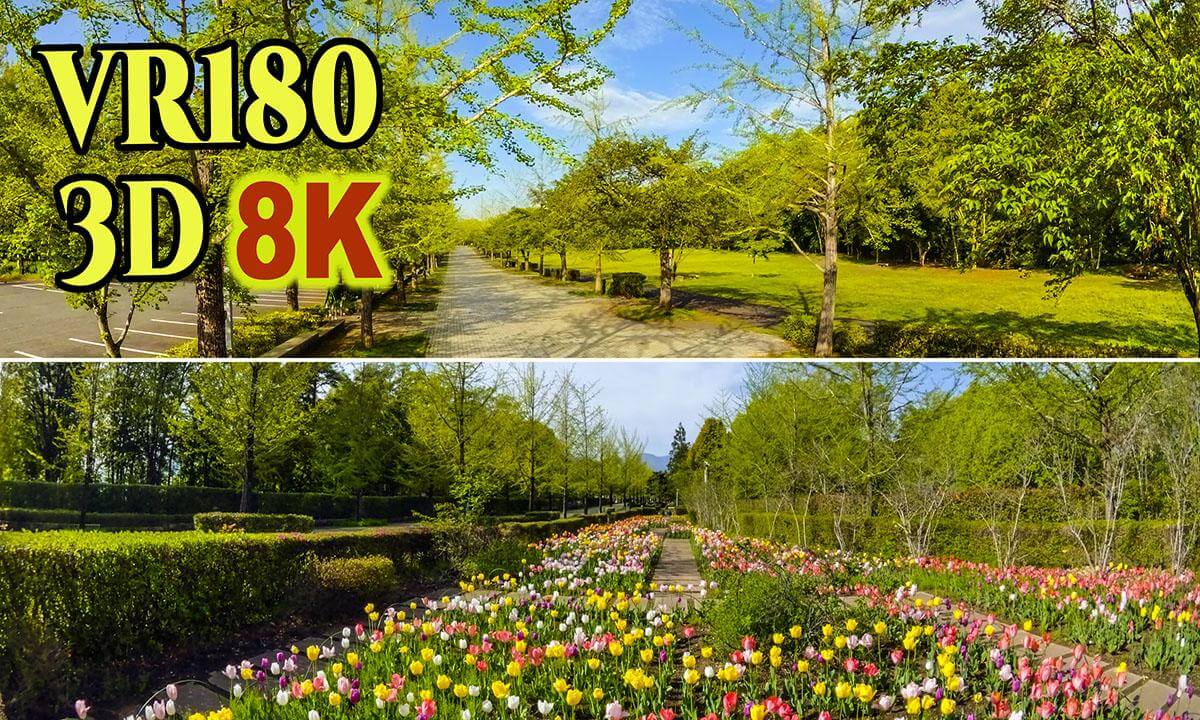 Chichibu Muse Park, dazzling with fresh greenery in Saitama , JAPAN