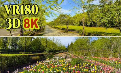 Chichibu Muse Park, dazzling with fresh greenery in Saitama , JAPAN