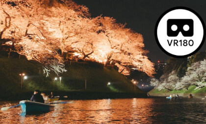 Cherry Blossoms in Tokyo: Chidorigafuchi Day & Night + A Magical Boat Ride: G.T.A.Japan【VR180/3D】