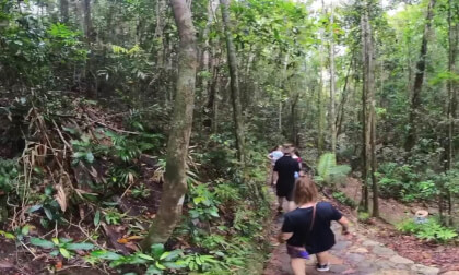 Buderim Falls - 360° Insta360 X3