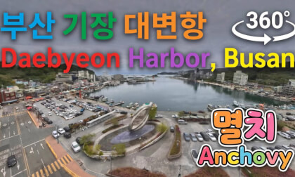 Daebyeon Harbor, Busan 부산 기장 대변항 (항구의 남자 뮤비)