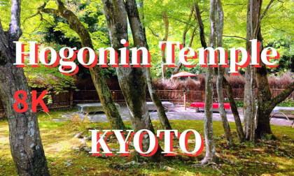 Kyoto: Japanese garden at Hogonin Temple in Arashiyama, JAPAN