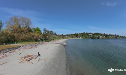 Cadboro-Gyro park coast