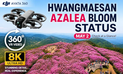Korea's Beautiful Mountain Hwangmaesan Royal azalea Avatar 360 One Take