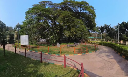 Bonsai Garden, Central Park, Visakhapatnam - 360° Insta360 X3